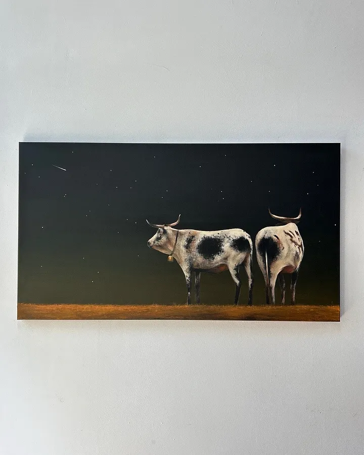 Зображення "Under the stars" від Milana Levadna, розмір: 50x90 cm, матеріали: Acrylic on canvas, медіум: Живопис, місто: Lviv